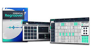 Accusonus Regroover Essential