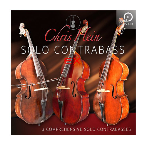 Best Service - Chris Hein Solo ContraBass EXtended